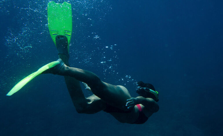 Conoce el equipo y accesorios necesarios para cada tipo de buceo.