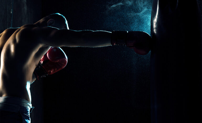 ¿Cuáles sacos de boxeo son mejores?