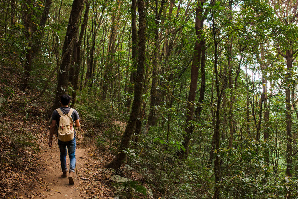 razones-para-practicar-senderismo