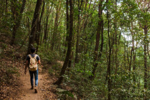 razones-para-practicar-senderismo