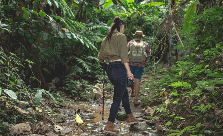 El milagro de la flora y fauna: Senderismo y biodiversidad