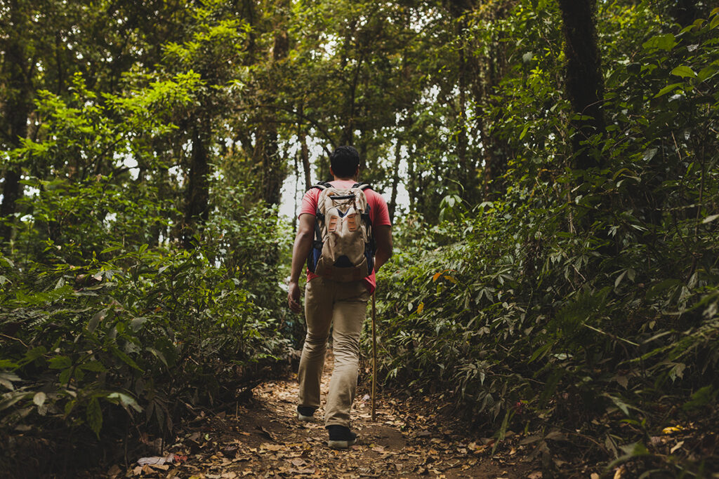el-senderismo-de-bosques-encantados