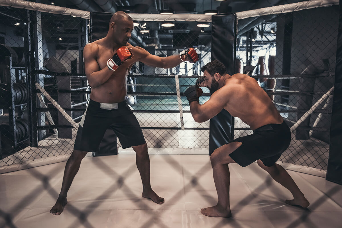 UFC: la principal organización a nivel mundial de artes marciales mixtas