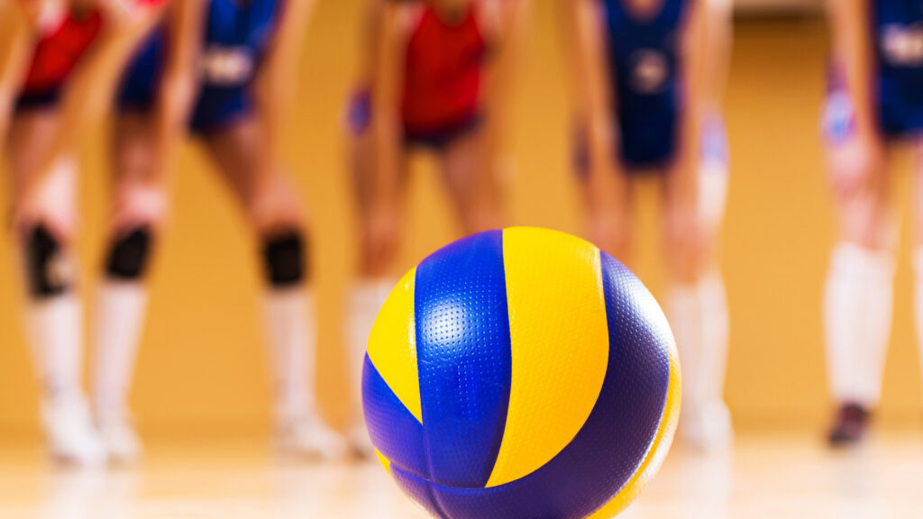 Balón de voleibol