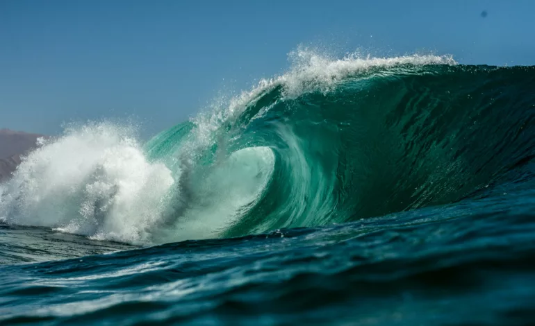 Domina las olas: Guía para principiantes en surf