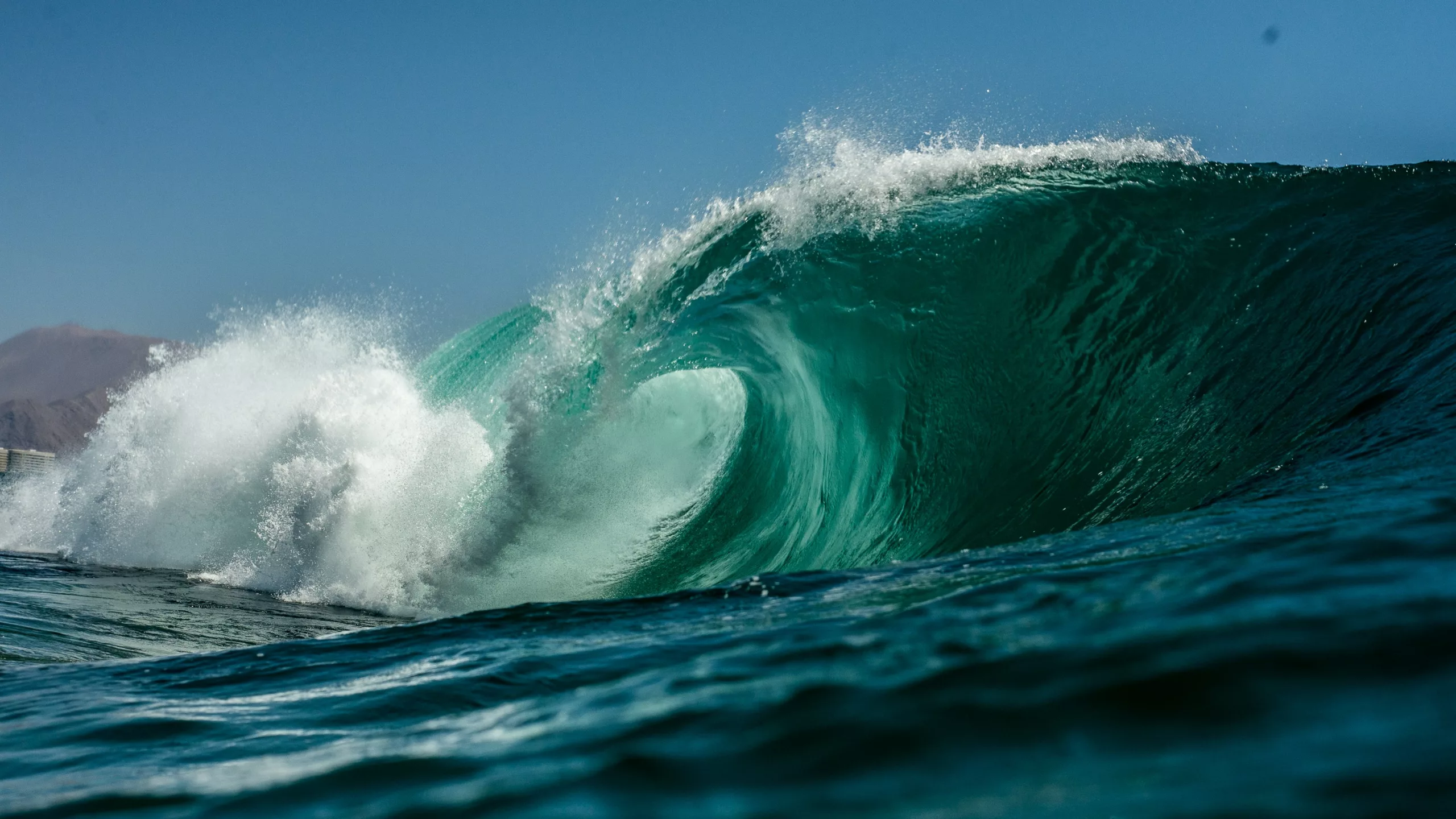 surf