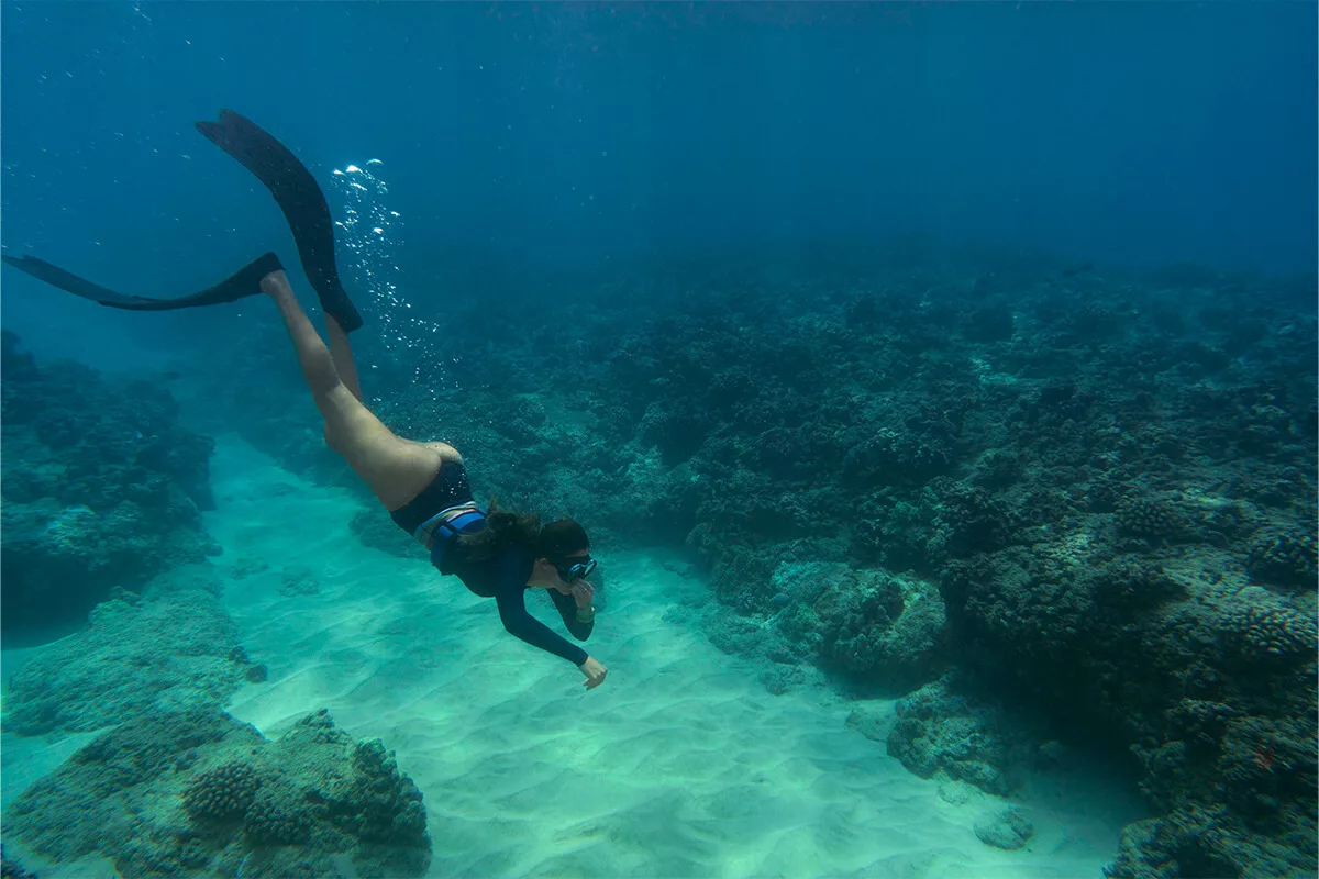 buceo