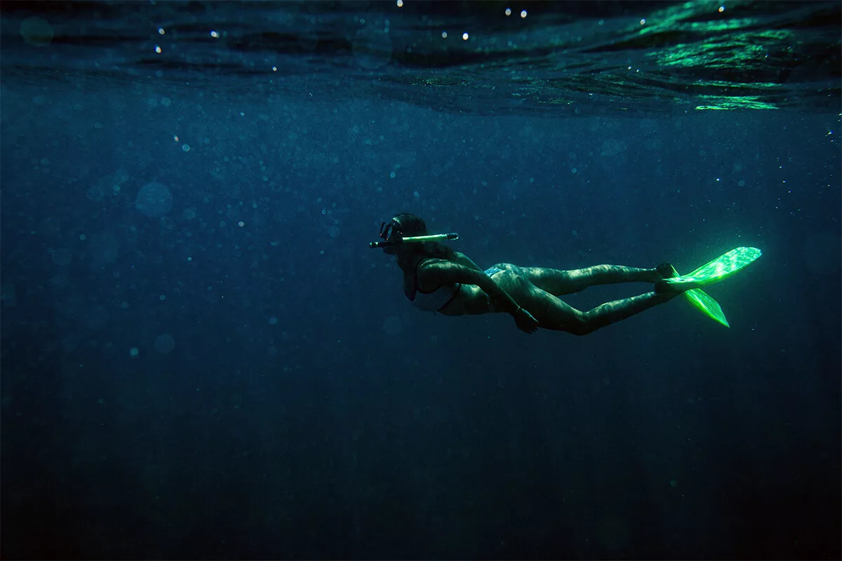 buceo