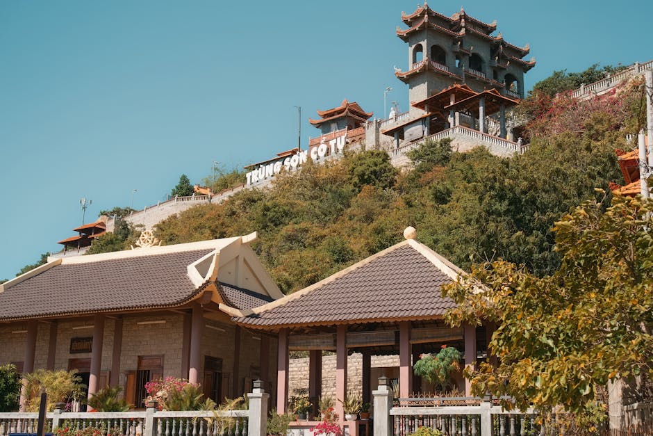 Featured: Cómo Elegir tu Primera Bicicleta de Montaña: Guía 2026