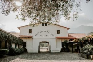 Featured: Beneficios de la caminadora: 10 razones para incluirla en tu rutina