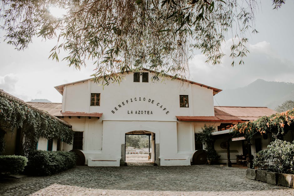 Featured: Beneficios de la caminadora: 10 razones para incluirla en tu rutina